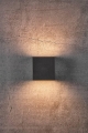 2019061003_10.jpg