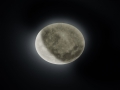 627514000_1.jpg