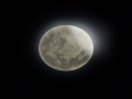 627514000_4.jpg