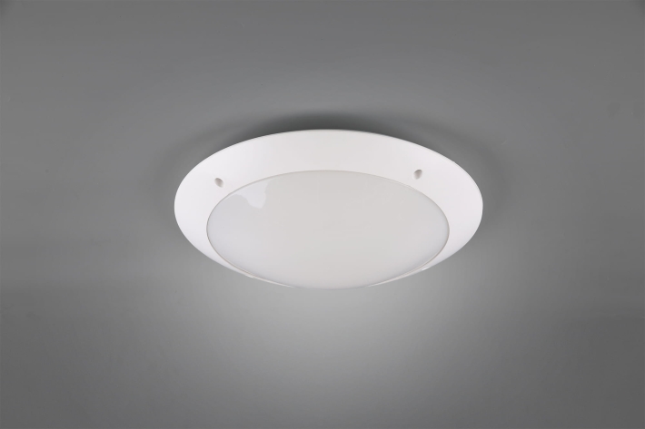 R60502031_1.jpg