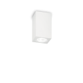 155791.png