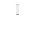 233079.png