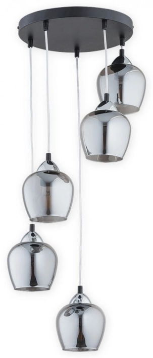 O2995 W5 CZA + CH.jpg