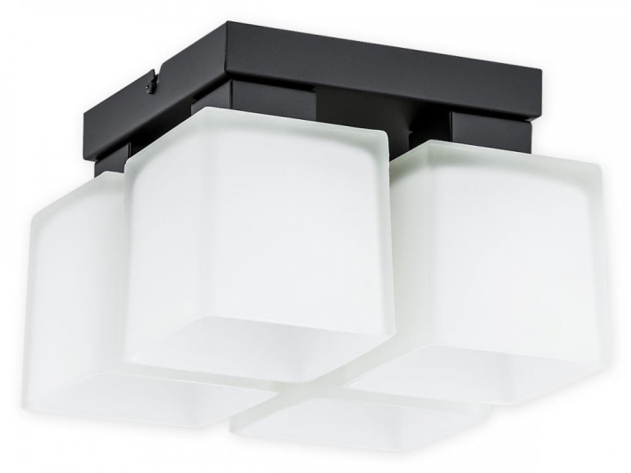 O2975 P4 CZA + BIA.jpg