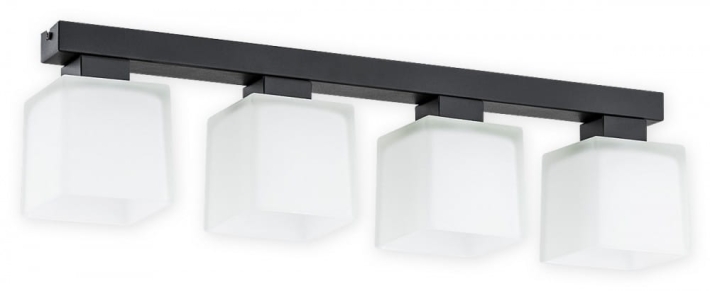 O2974 P4 CZA + BIA.jpg