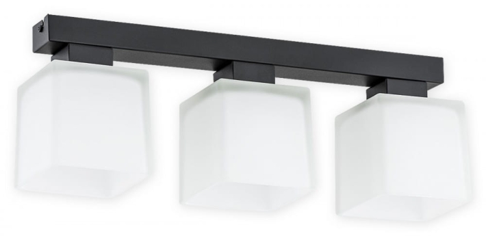 O2973 P3 CZA + BIA.jpg