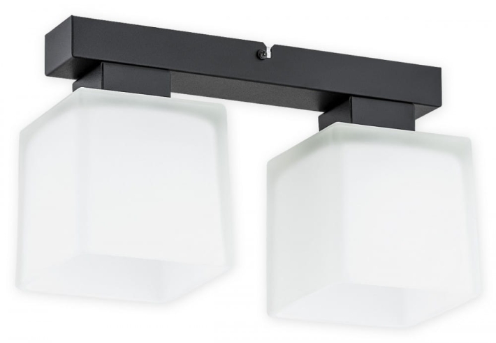 O2972 P2 CZA + BIA.jpg