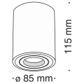 C016CL-01W.png
