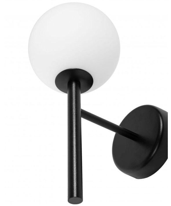 KPA12000_3.jpg