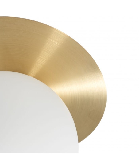 BRA12000_6.jpg