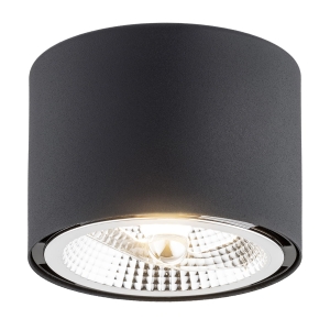 Lampa sufitowa punktowa spot Argon 4691 Clevland ES111 8,5cm x 11,5cm czarny z żarówką