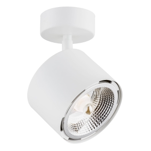 Lampa sufitowa punktowa spot Argon 4702 Clevland ES111 biały żarówka w zestawie