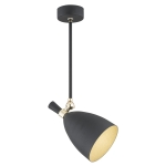 Czarna lampa sufitowa Argon 4686 Charlotte E27 mosiężne przeguby