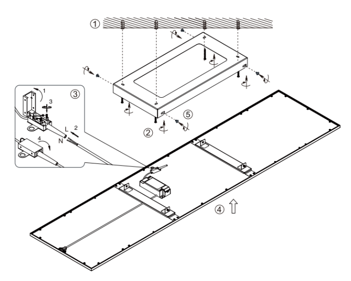 R62328032_2.png