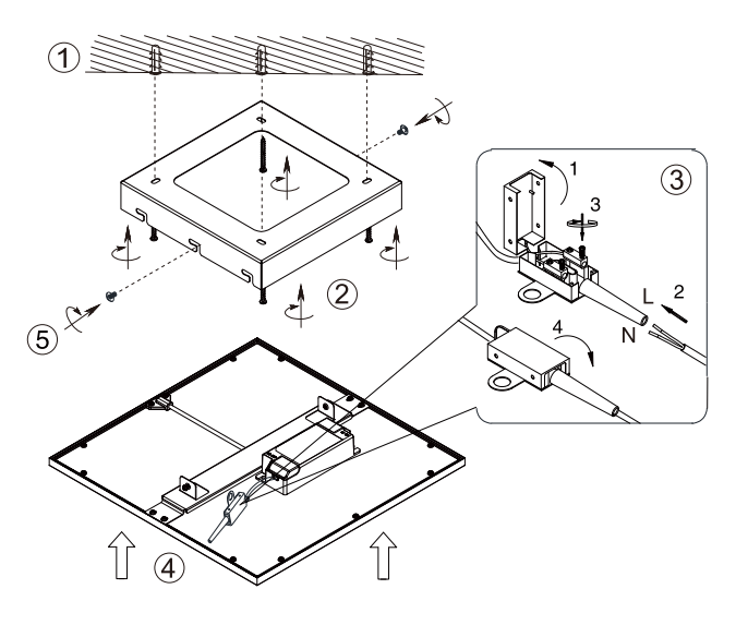 R62324532_2.png