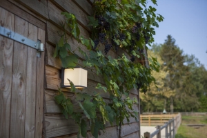 Zewnętrzna lampa ścienna kinkiet na elewację Lutec 5105001125 Doblo LED 19W 3000K IP54