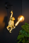 Lampa ścienna kinkiet wisząca małpa trzymająca żarówkę Lucide 10202/01/30 Extravaganza Chimp E27