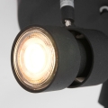 7905ZW_8.jpg