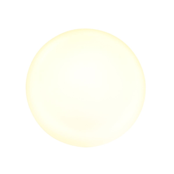 2128W_2.jpg