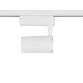 7623_5.jpg