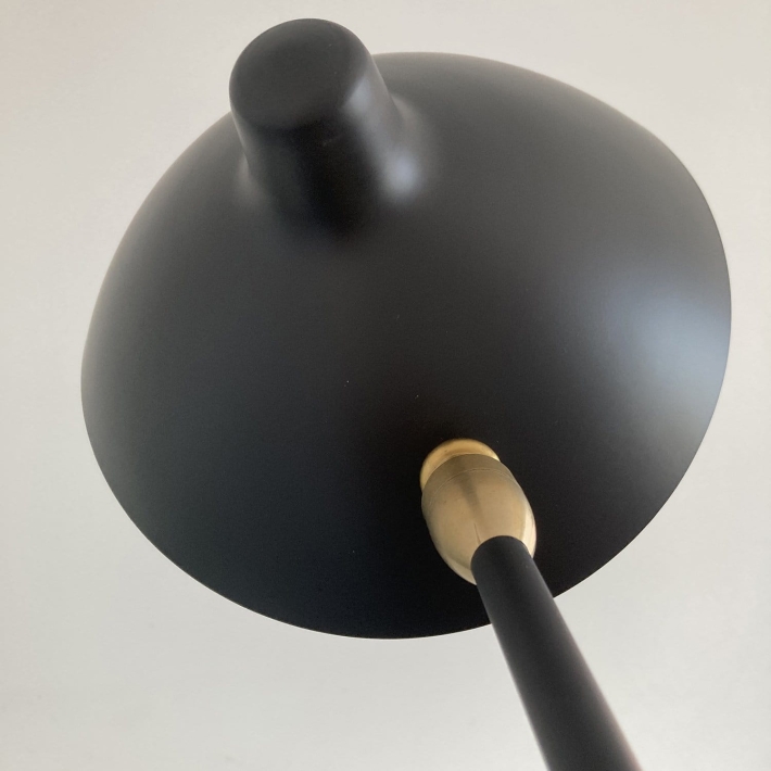 pol_pl_Lampa-podlogowa-CRANE-F1-czarna-160-cm-262_11.jpg