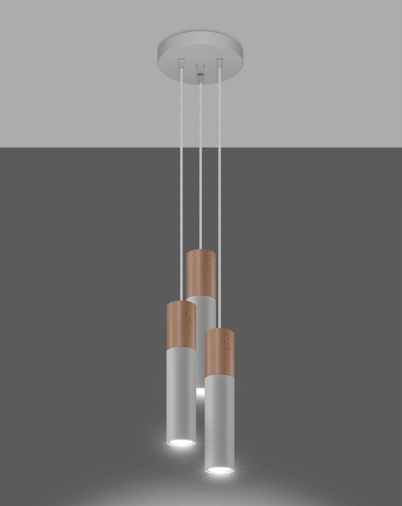 SL-1013_2.jpg