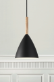 pure-20-lampa-wiszaca-nordlux-czarna.png
