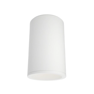 Lampa Sufitowa Punktowa Maytoni C029CL-01-S-W Zoom GU10 6,5cm x 10,5cm biały bez regulacji