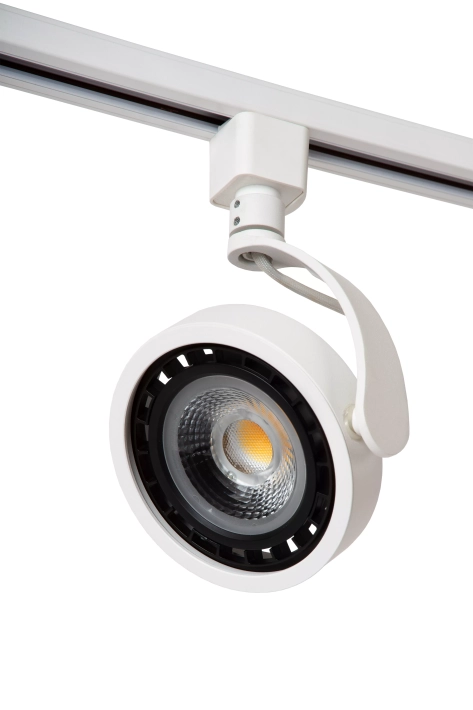 09954-01-31 off.webp