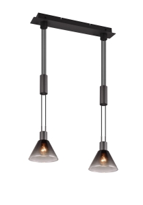 Lampa wisząca z regulacją wysokości i dwoma przydymionymi szklanymi kloszami Trio Lighting 319500232 Stanley 2xE27