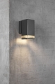 M Elm 45321003 2.jpg