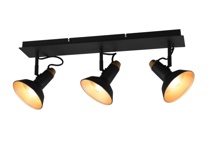 Lampa Trio Lighting Roxie  811900332  czarny - 6851085ecc8ebb86de2030989c349280