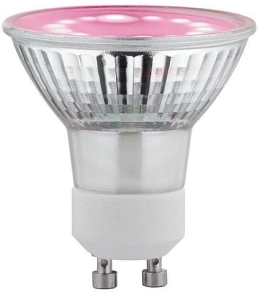 Żarówka prowzrostowa Paulmann PL28974 Plant GU10 3,5W 95LM 1100K