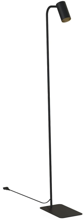 7717.jpg