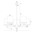 PRINCETON_2187_2188.png