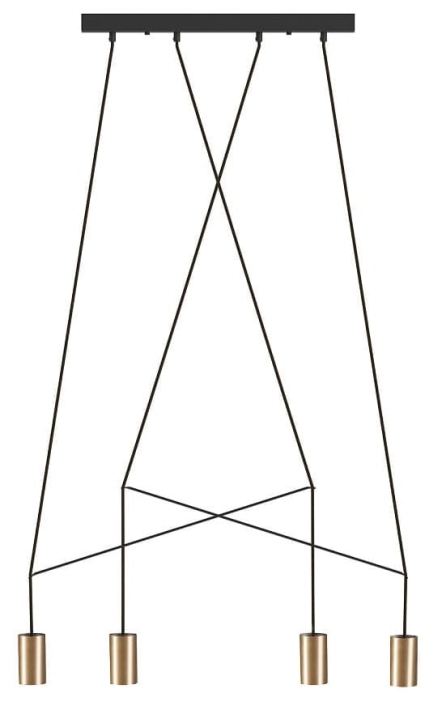 7957.jpg