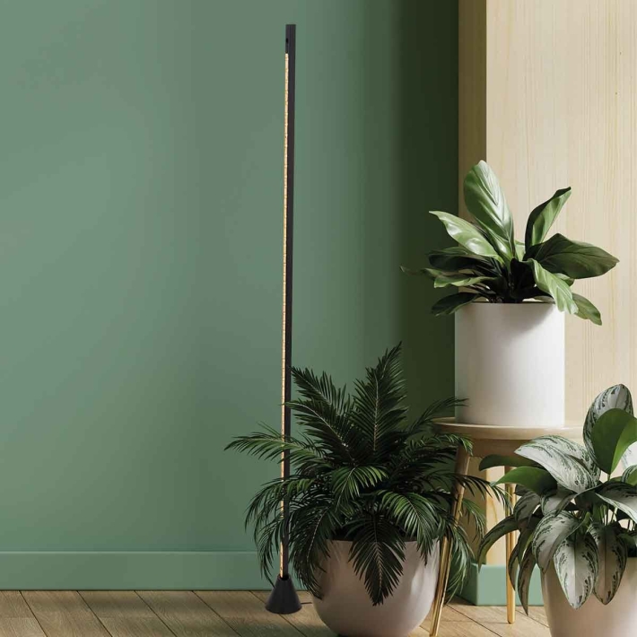 713314345a9898bb4b79e1feff1c031b