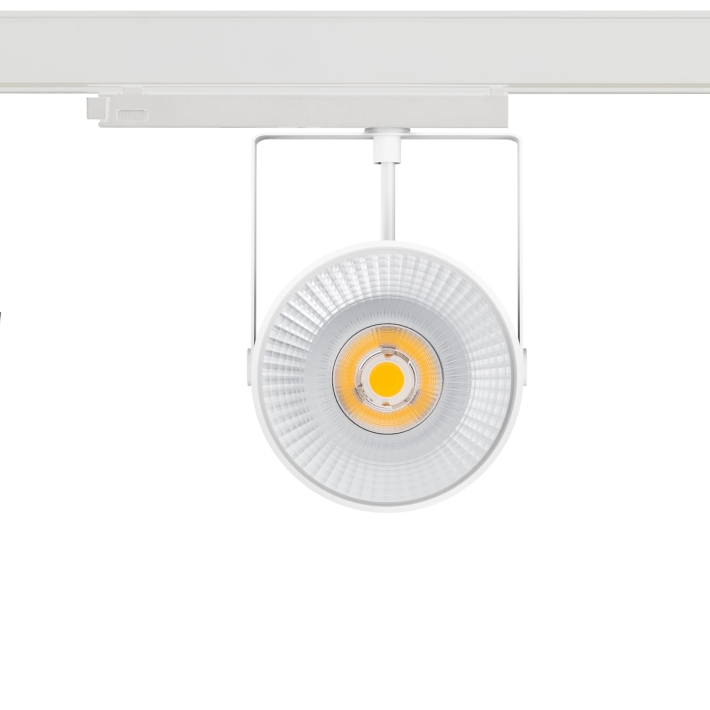 cea19c840863628cba87937f2f79d0e0