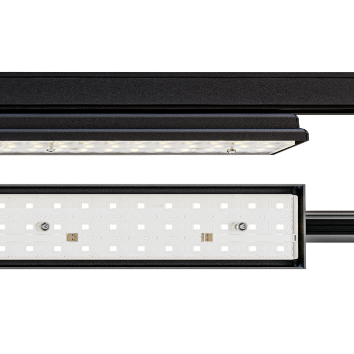 1685198daa08dba8cad11406d5c2ca95