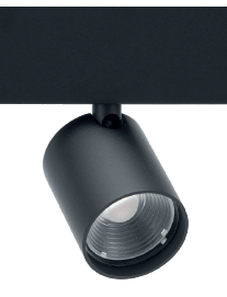 Lampa Lira Lighting Petit 55 2043.020LC czarny - c16104e92f84df3f26e476f9248e2bce