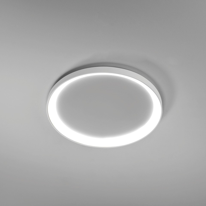 512eeafc19492646cb502c85cef39481