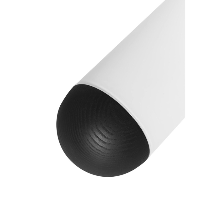 d1e810ce591a6d083418169dea4755a2