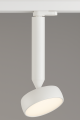 myco-160-bialy.png