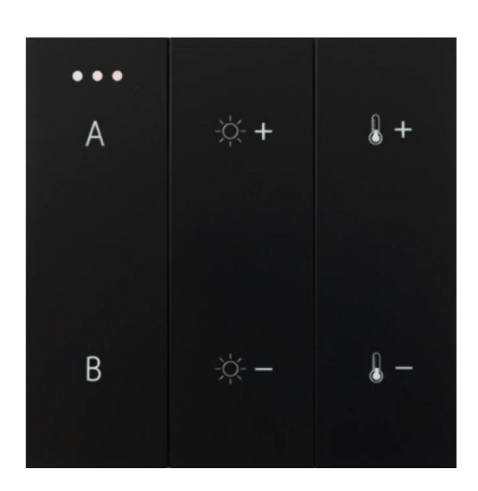 switch-panel-remote-control-2-group-bluetooth-bk.jpg