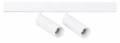 minispot-duo-smartline-bialy.png