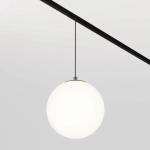 Lampa wisząca biała kula 13cm na czarne szyny magnetyczne Exility Maytoni TR039-4-5WTW-DD2-B Luna LED 6W 2700-6000K Dali2