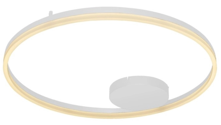 hallo-80-top.jpg