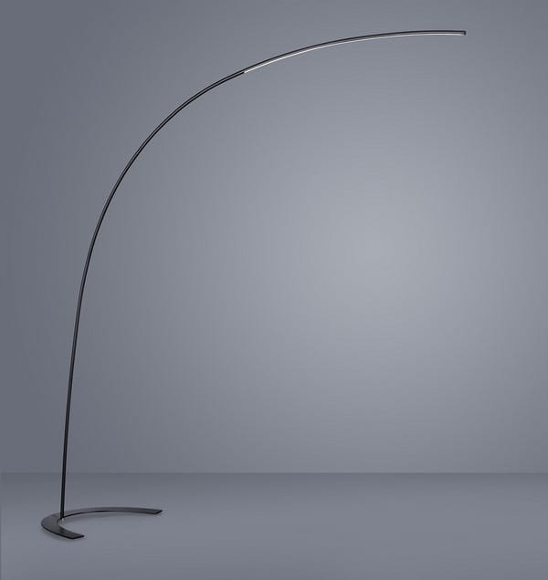 427511802.jpg