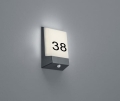 228669142.jpg