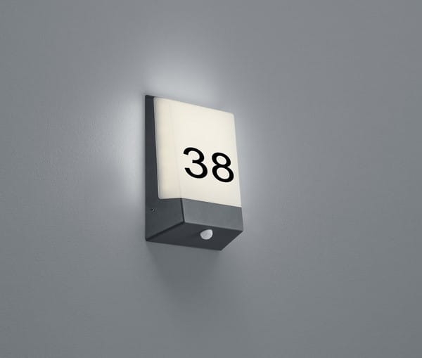 228669142.jpg